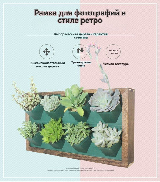 фитомодуль для цветов на стену - купить по выгодной цене в интернет ...