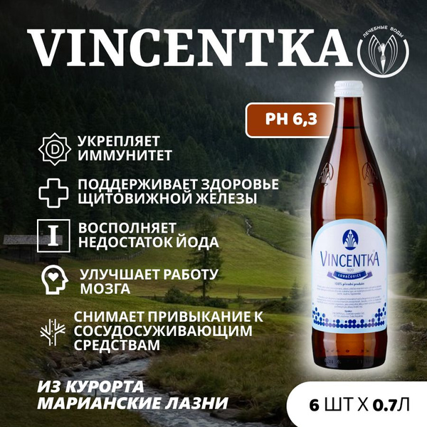 Минеральная лечебная вода Винцентка (Vincentka), с йодом 0,7 л х 6 шт ...