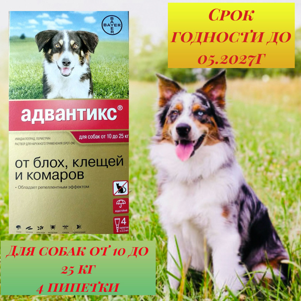 Адвантикс капли для собак от 10 кг до 25 кг (4 пипетки) - купить с ...
