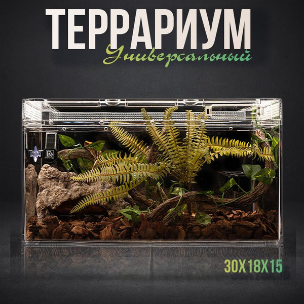 Террариум с крышкой для геккона эублефа - купить с доставкой по ...