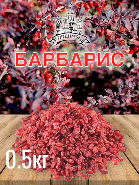 Барбарис сушеный 500 г, приправа для плова - купить с доставкой по ...