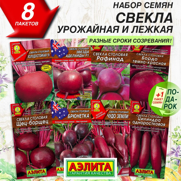 Свекла Аэлита Корнеплоды - купить по выгодным ценам в интернет-магазине ...