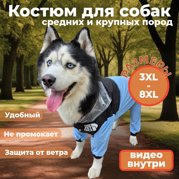 Костюм для собак средних и крупный пород, от дождя и ветра, голубой ...