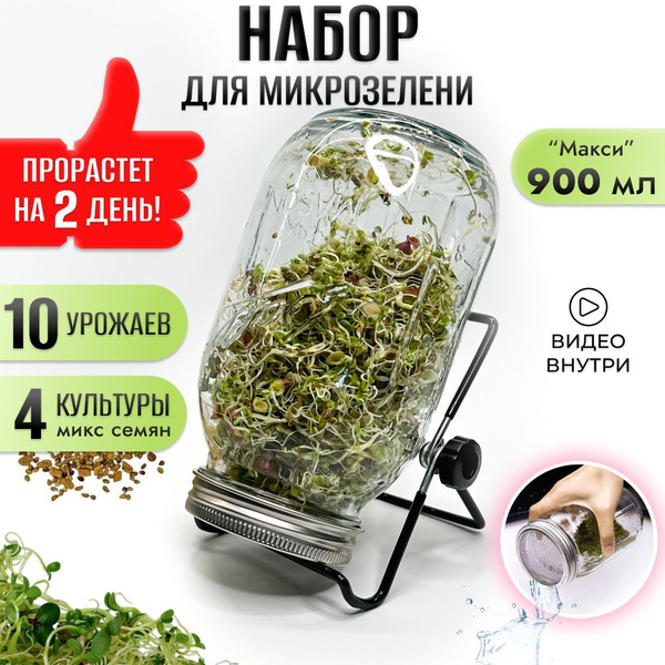 Микрозелень ВыРасти "Мини" - купить по выгодным ценам в интернет ...