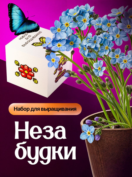 Набор для выращивания растений Незабудка купить на OZON по низкой цене ...