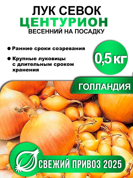Лук севок для посадки Центурион Голландия, 0.5кг купить на OZON по ...
