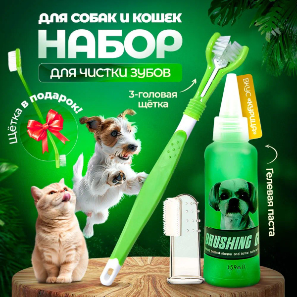 Зубная паста для собак и кошек + щетки купить на OZON по низкой цене ...