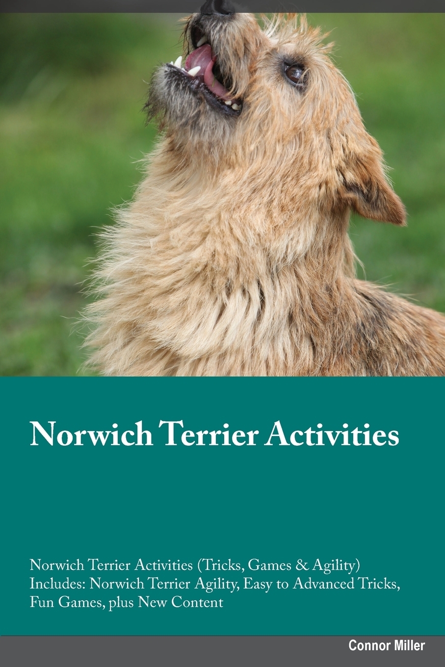 фото Norwich Terrier Activities Norwich Terrier Activities (Tricks, Games & Agility) Includes. Norwich Terrier Agility, Easy to Advanced Tricks, Fun Games, plus New Content