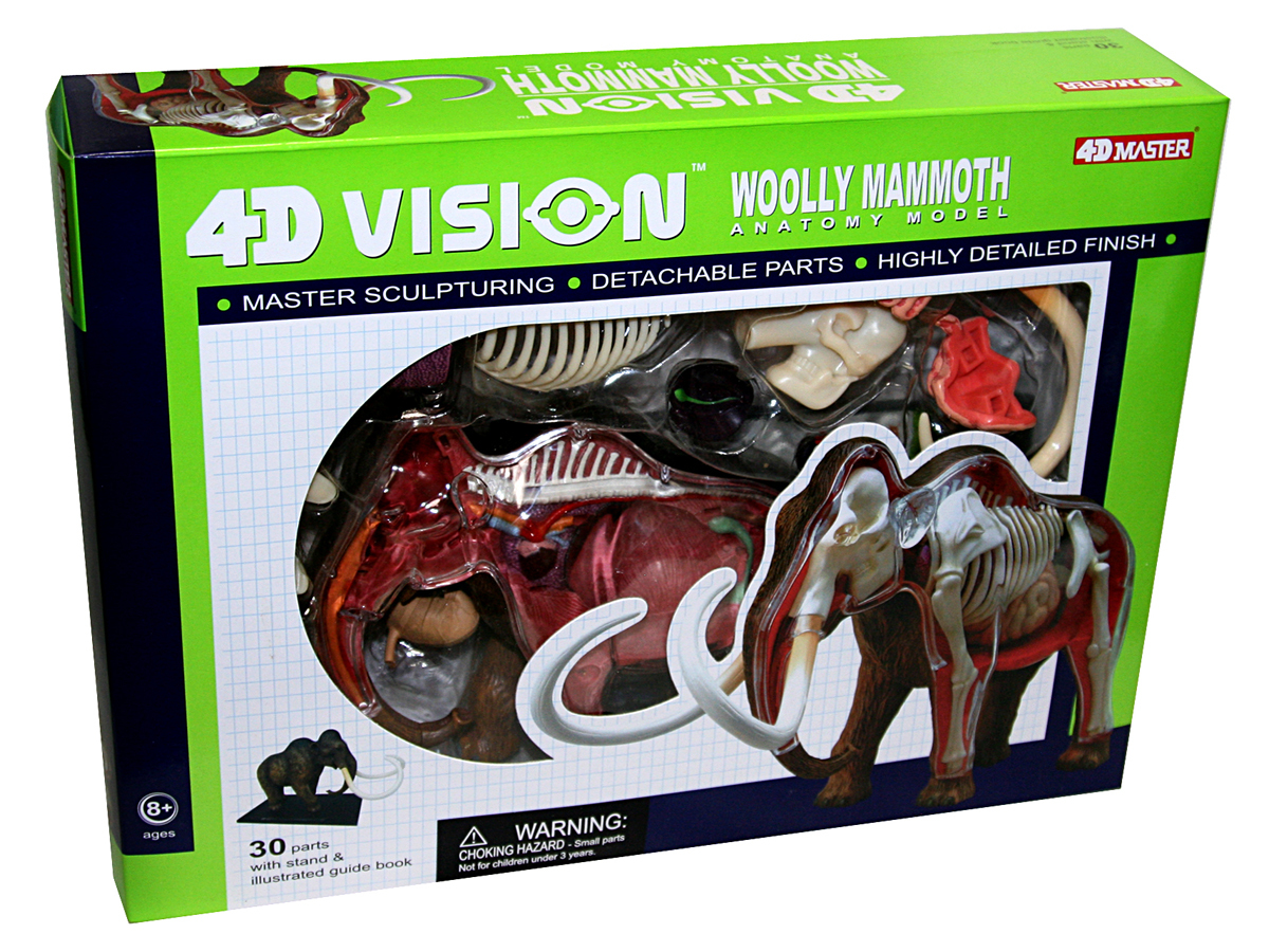 4d master анатомическая модель животных. анатомическая модель которую нужно самим собрать купить рыбка. 4d master. детский набор по анатомии. набор для изучения внутренних органов животные.