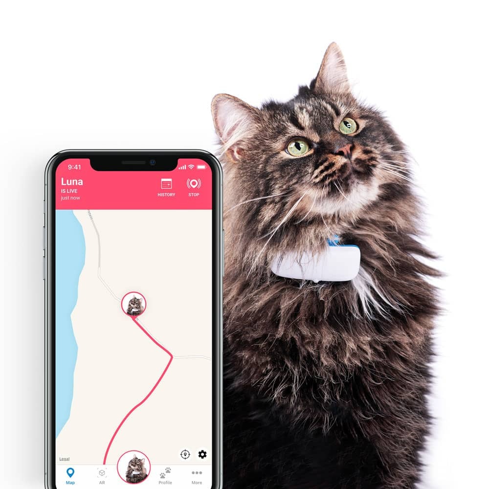 Tractive Gps – купить в интернет-магазине OZON по низкой цене