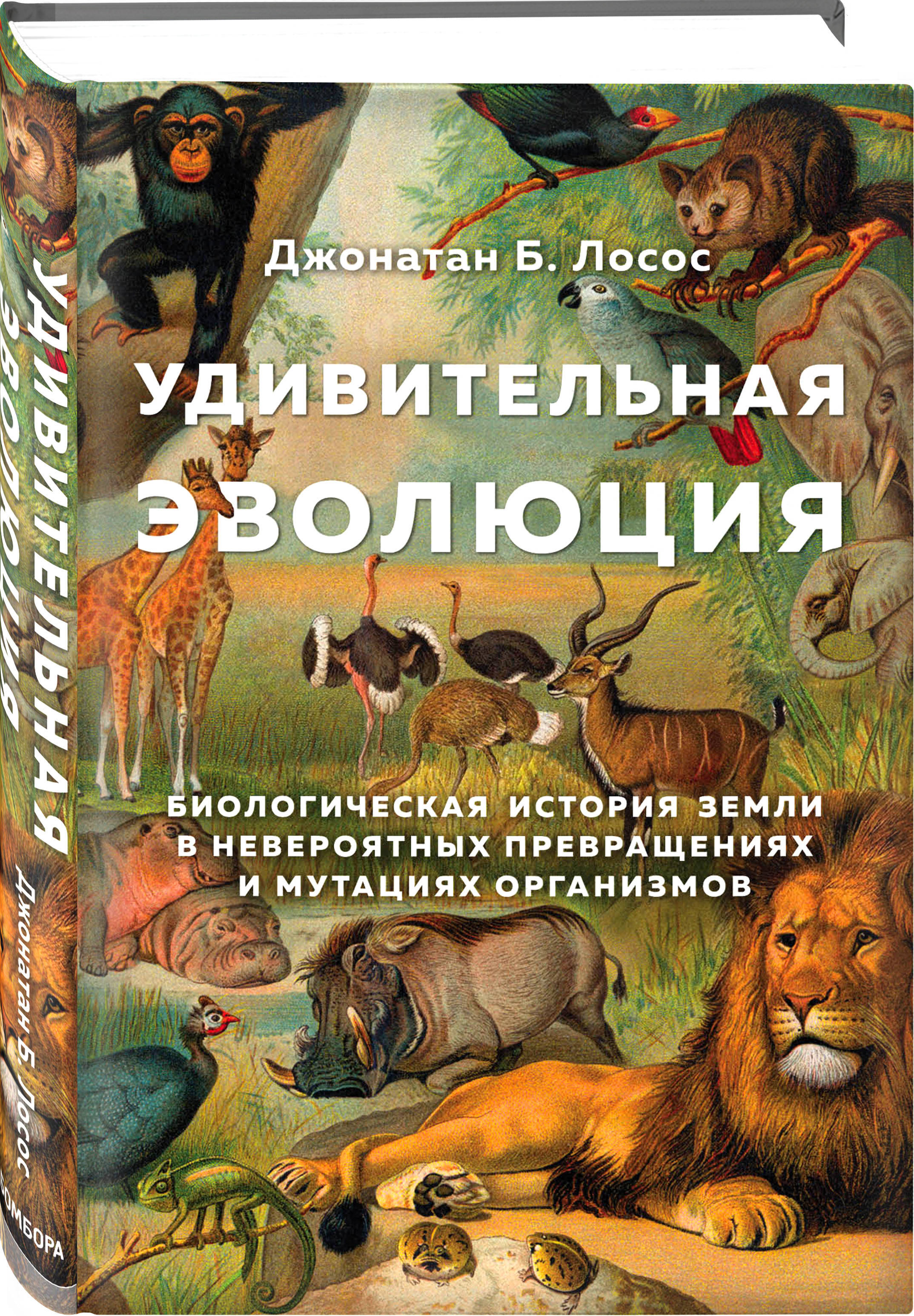 Удивительная эволюция. Биологическая история Земли в невероятных  превращениях и мутациях организмов | Лосос Джонатан Б. - купить с доставкой  по выгодным ценам в интернет-магазине OZON (250973468)