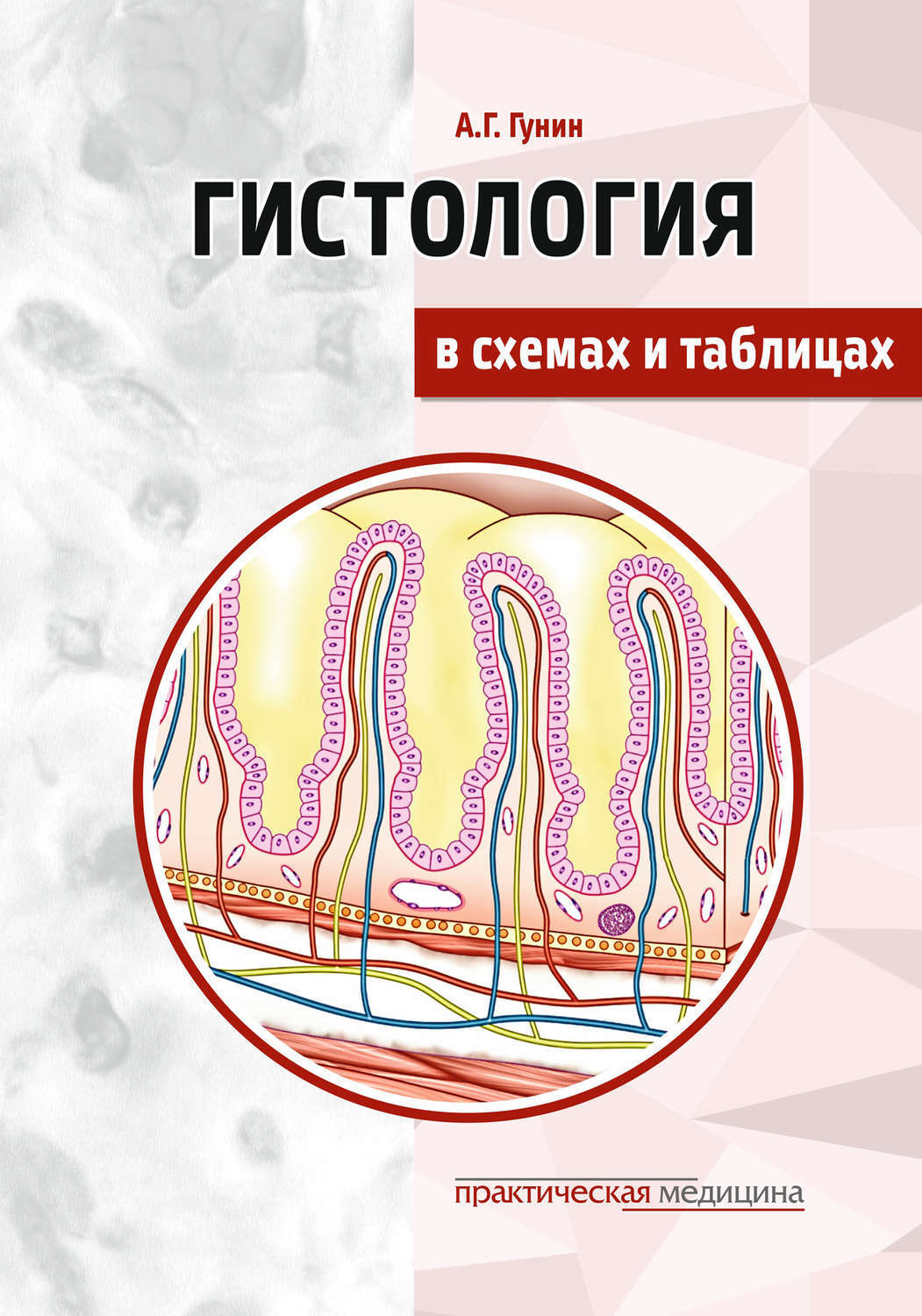 А г гунин гистология в таблицах и схемах