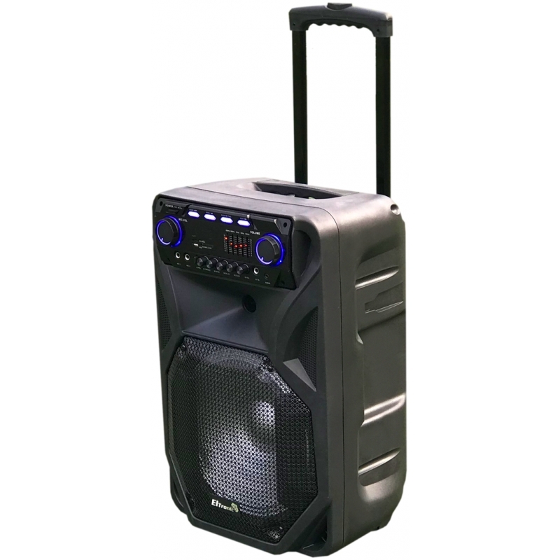 Беспроводная колонка Eltronic EL-106 - купить по доступным ценам в ...
