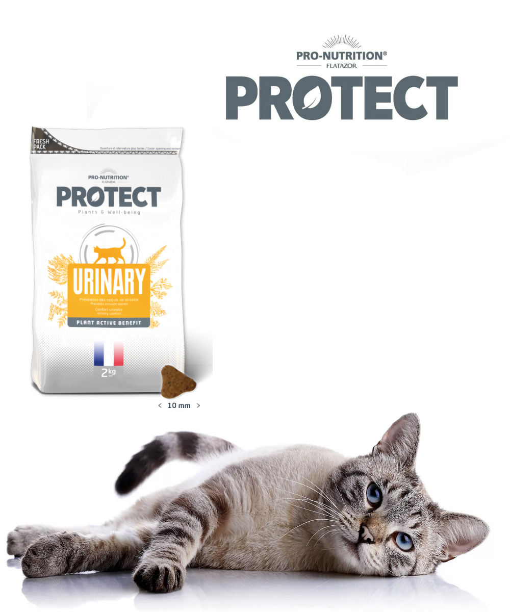 Protect urinary. Flatazor protect Urinary. Flatazor protect Cat Urinary. Флатазор корм для кошек. Pro Nutrition корм для кошек.