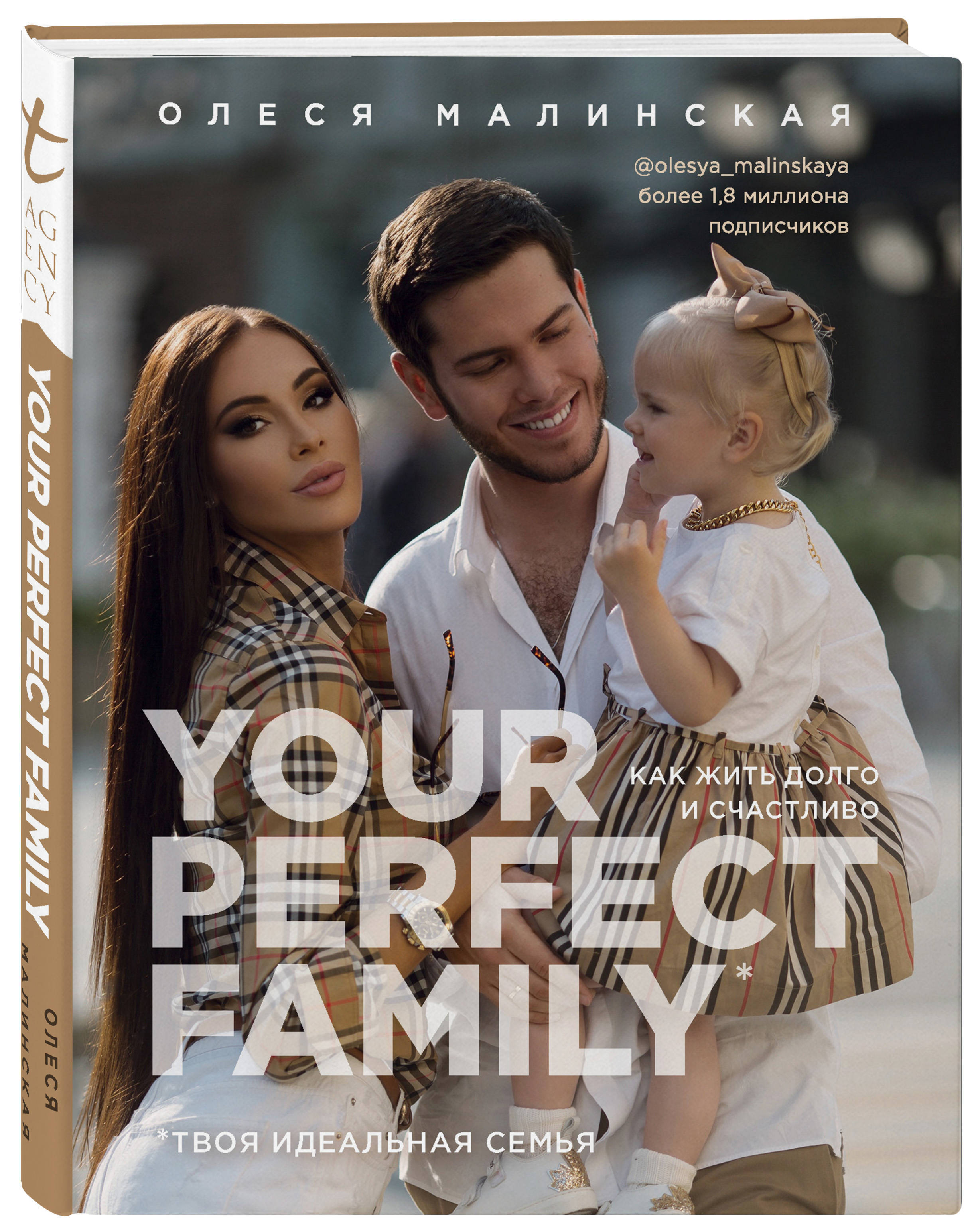 Книга семья для бывшего. Идеальная семья. Книги про семью. Твоя семья. Идеальная семья Постер.