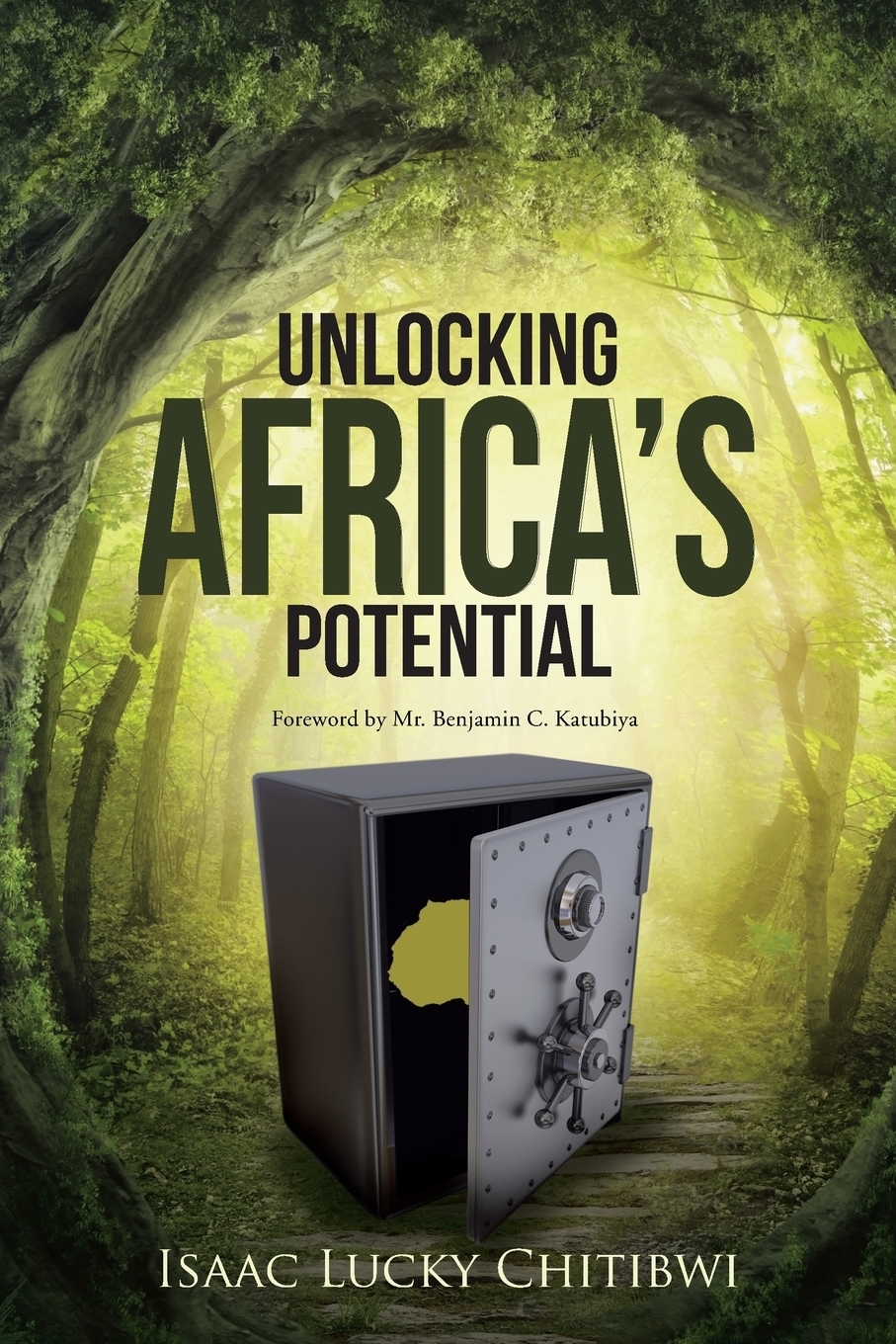 Книга "Unlocking Africa's Potential" – купить книгу ISBN 9781482803365 