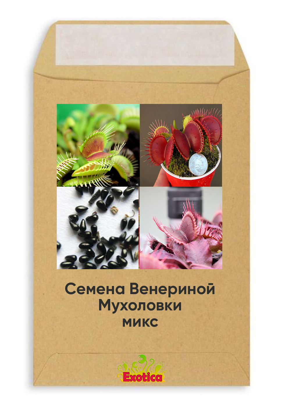 Семена венериной мухоловки