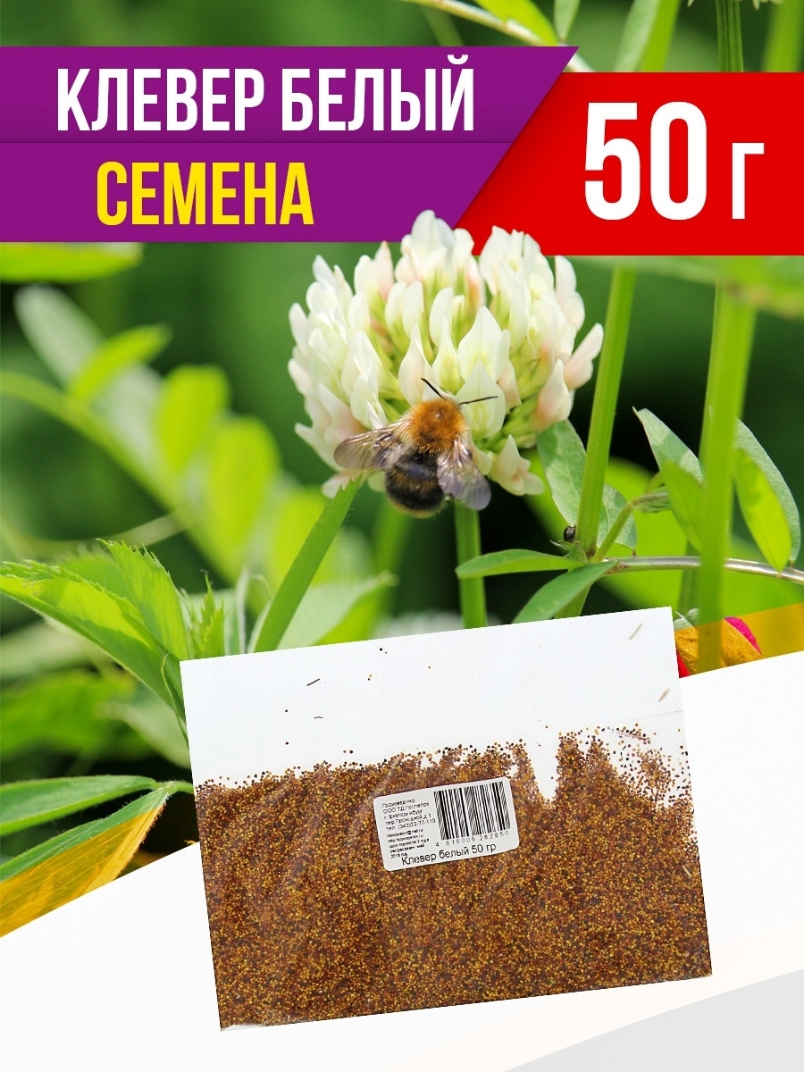 Семена Клевера Купить В Леруа