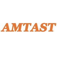 AMTAST — купить товары AMTAST в интернет-магазине OZON