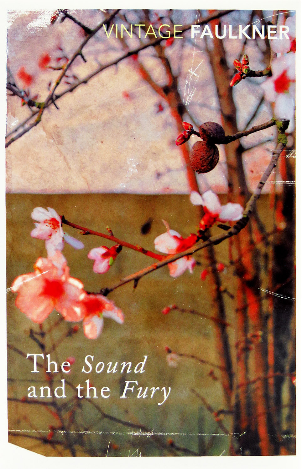 Sound and the fury | William Faulkner H.