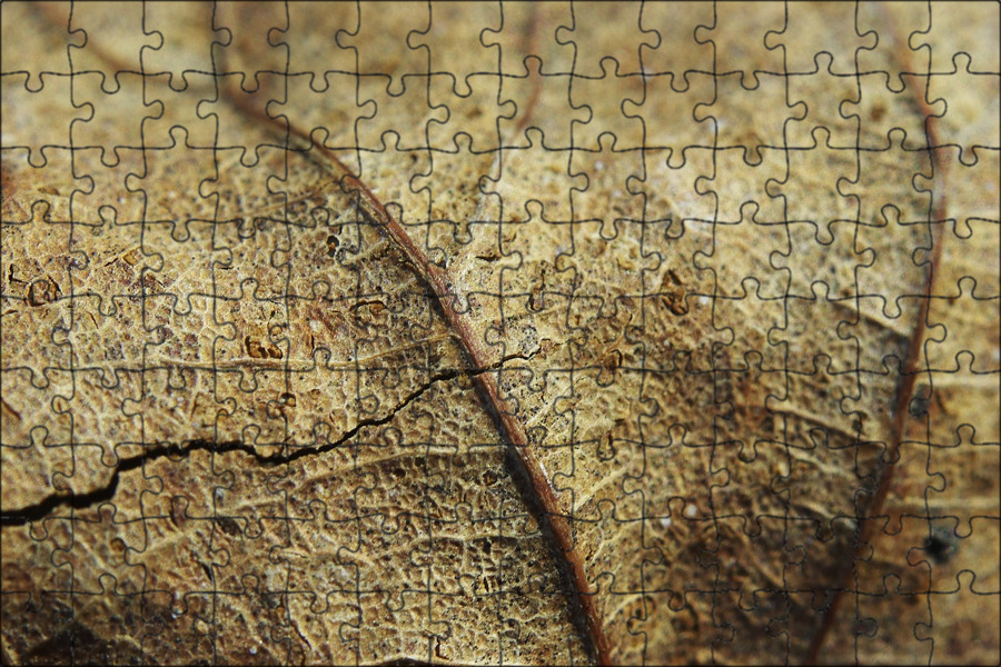 Текстура камень бетон. Сухой лист макро. Трещины вектор. Почва обои. Crack macro.