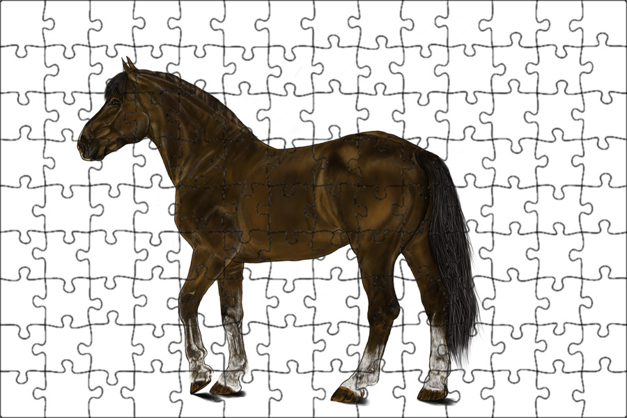 Рассмотрите фотографию коричневой лошади с черными. Пазл черного и коричневого коня 500. Лошадь коричневая красивый рисунок. Пазлы черная лошадь 500 штук. 2 Коричневые лошади на печать.