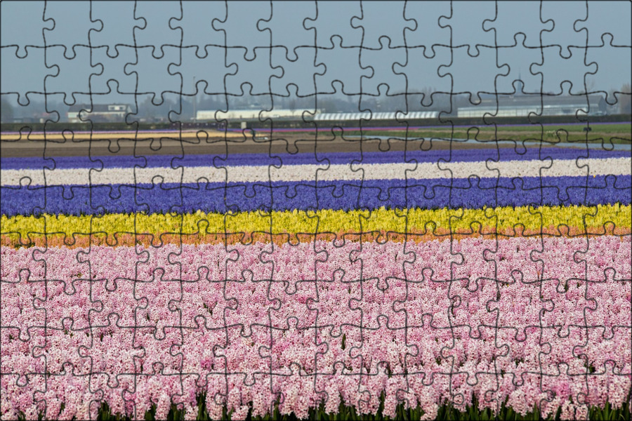 Раскаленное поле puzzle chaos