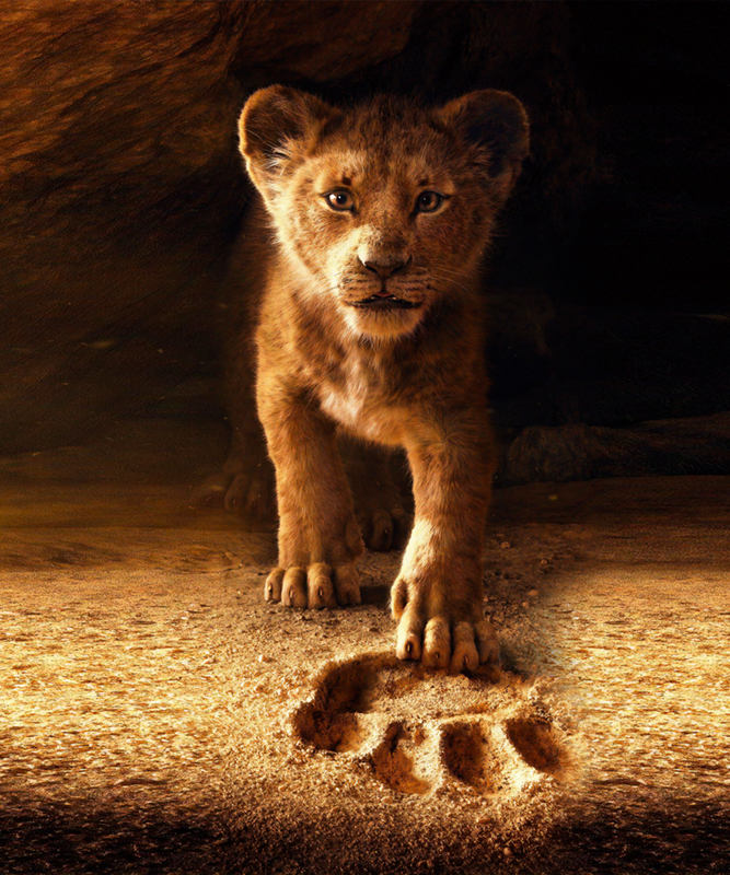 Фото король лев фото львят Фото король лев фото львят