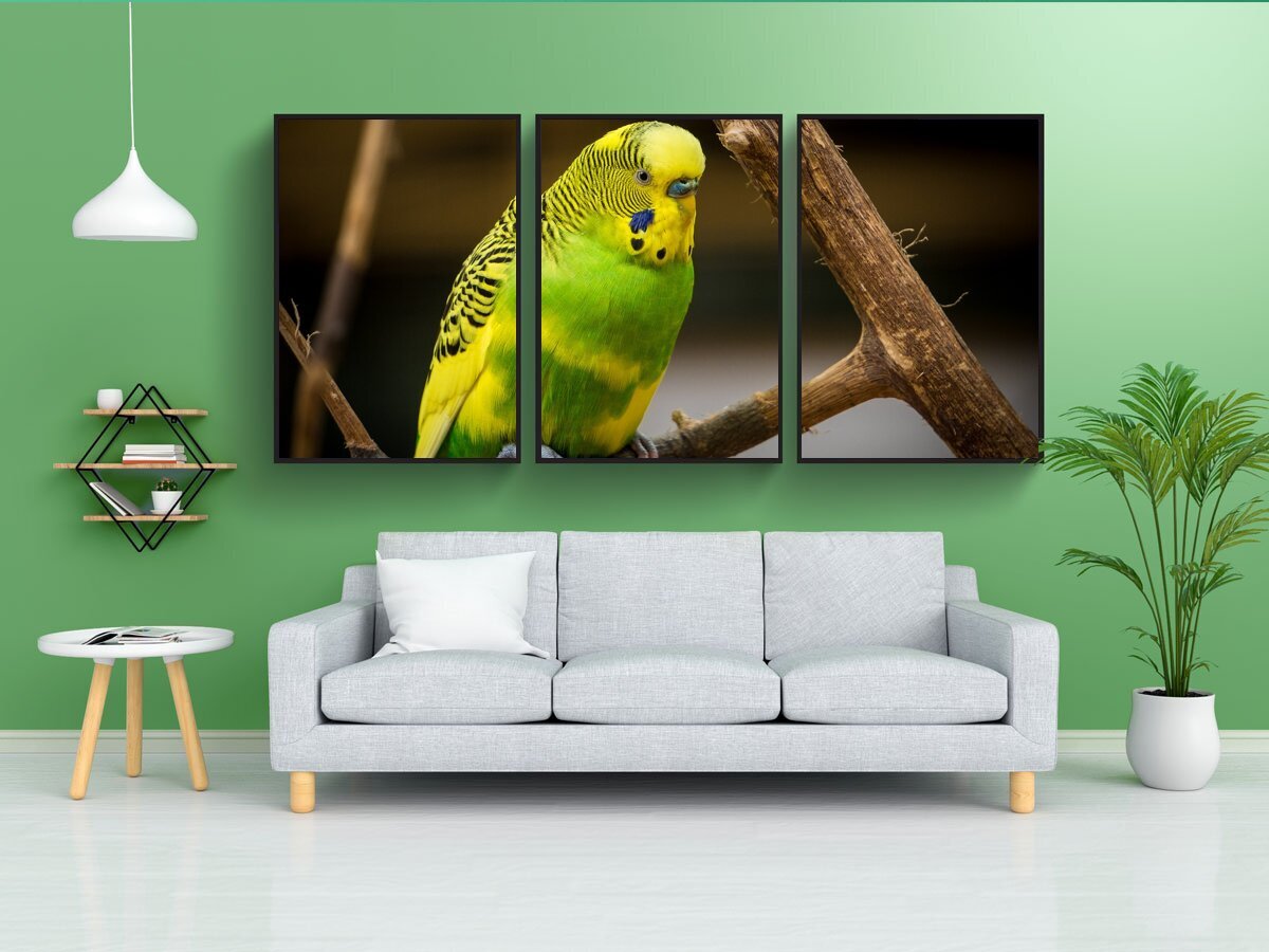 фотообои с попугаями в интерьере