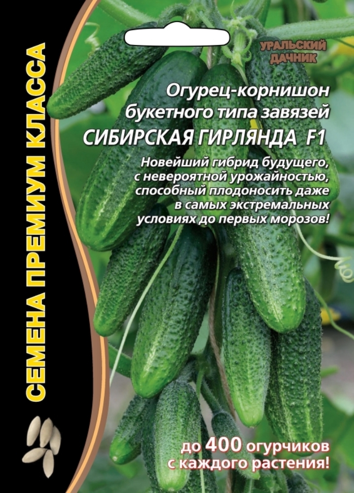 Сибирский дачник семена обувь из конопли в украине