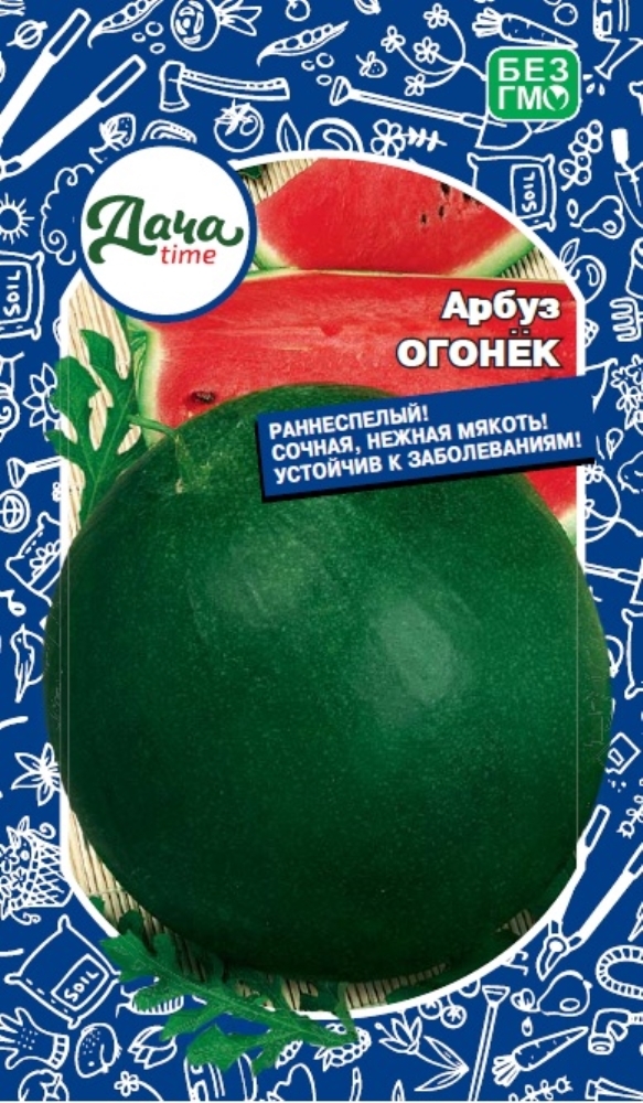 Семена арбуз огонек. Арбуз огонек как понять что созрел. Арбуз сорт рафинад. Арбуз огонек. Сорт арбуза огонек.