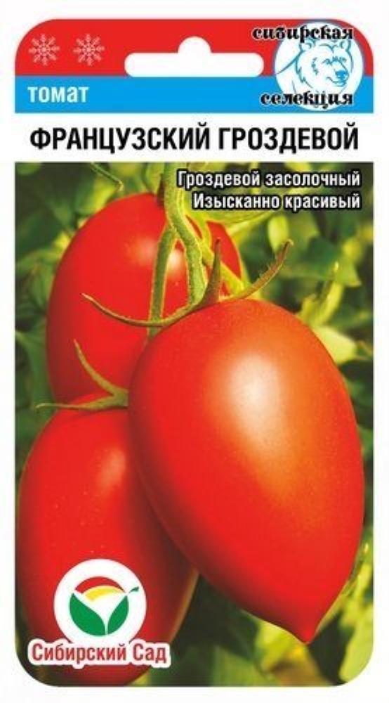 Сорт томатов французский гроздевой отзывы фото