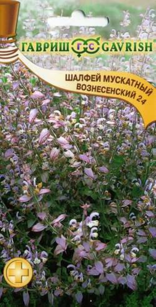Шалфей Семенами Цена