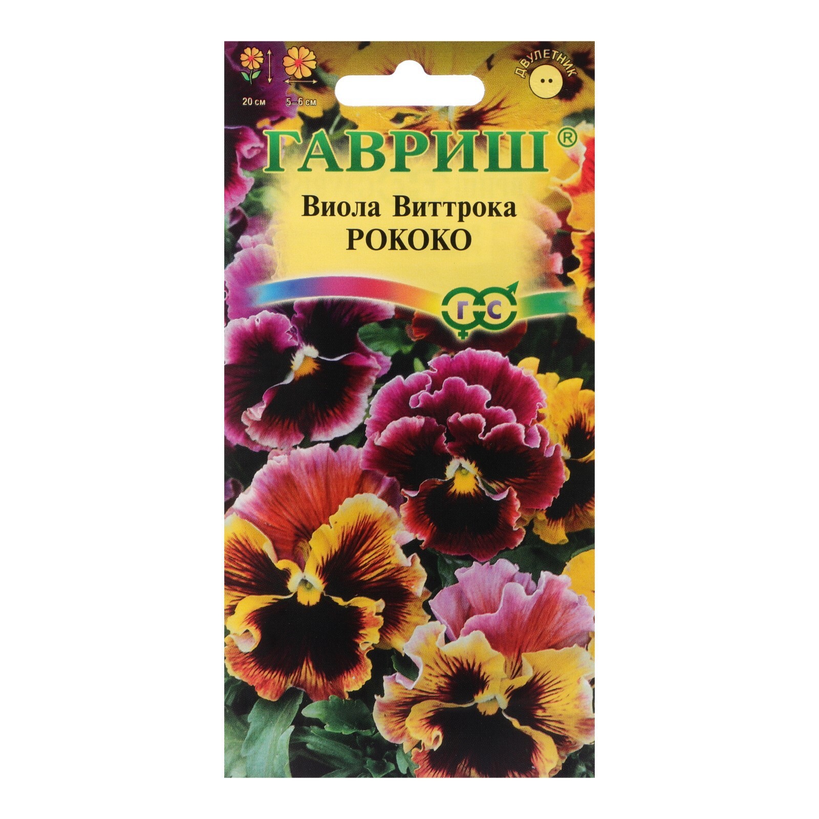 Виола рококо