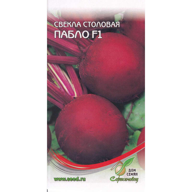 Семена свекла пабло. Свекла столовая Пабло f1. Семена свекла Пабло f1. Семена свекла Пабло f1 100шт.