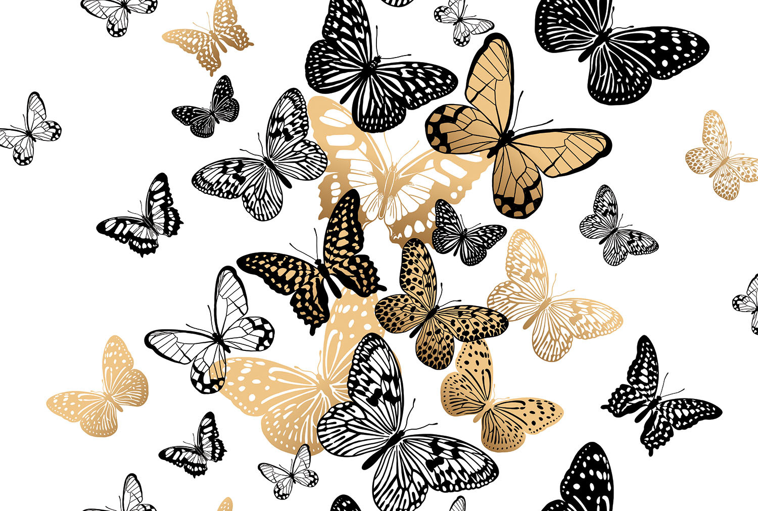 Шебекино 400 бабочки