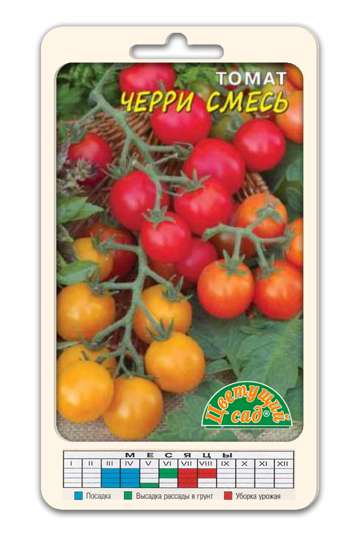 Ампельные помидоры: сорта, посадка и выращивание