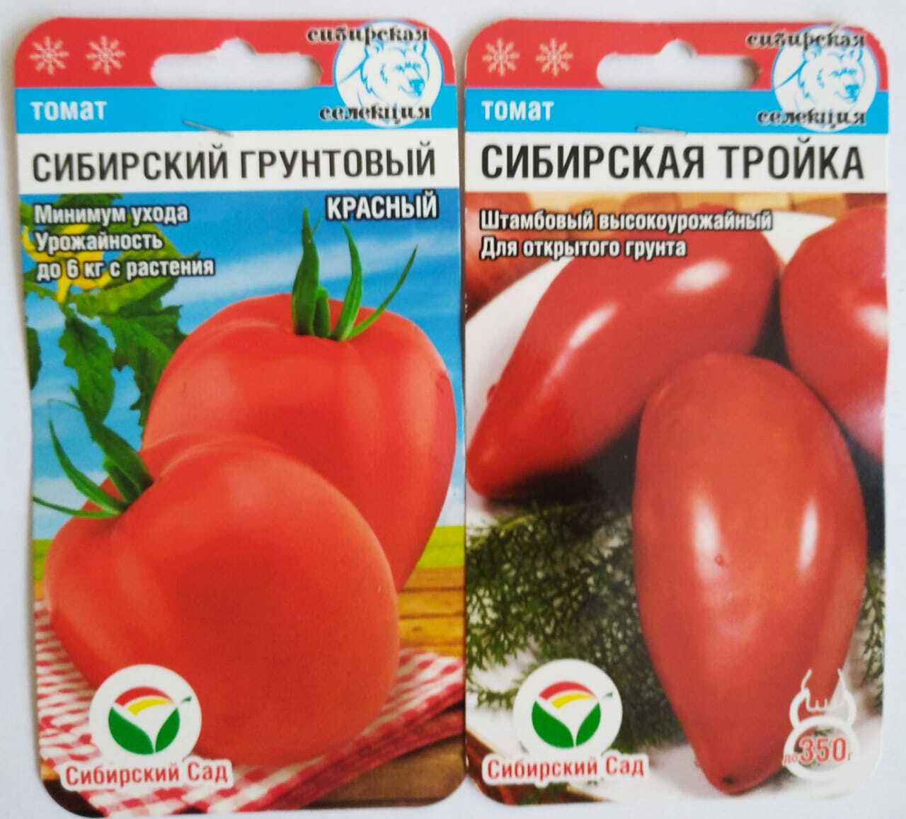 томат сибирское чудо описание сорта фото отзывы