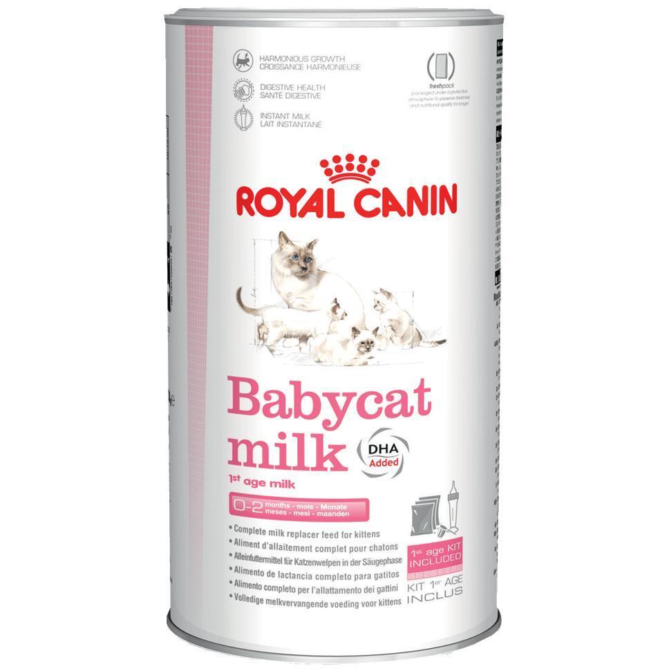 Молоко сухое  для котят Royal Canin Babycat milk, 300 г. для вскармливания котят с рождения до 2-х месяцев