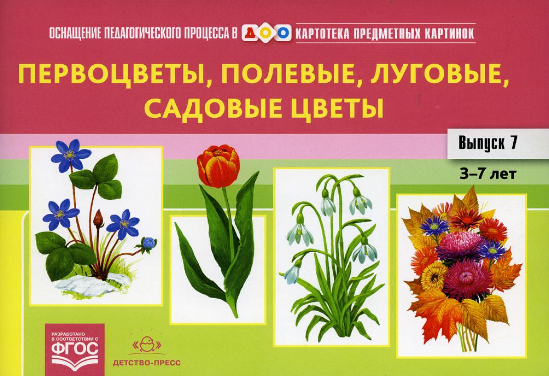 Полевые и садовые цветы для детского сада