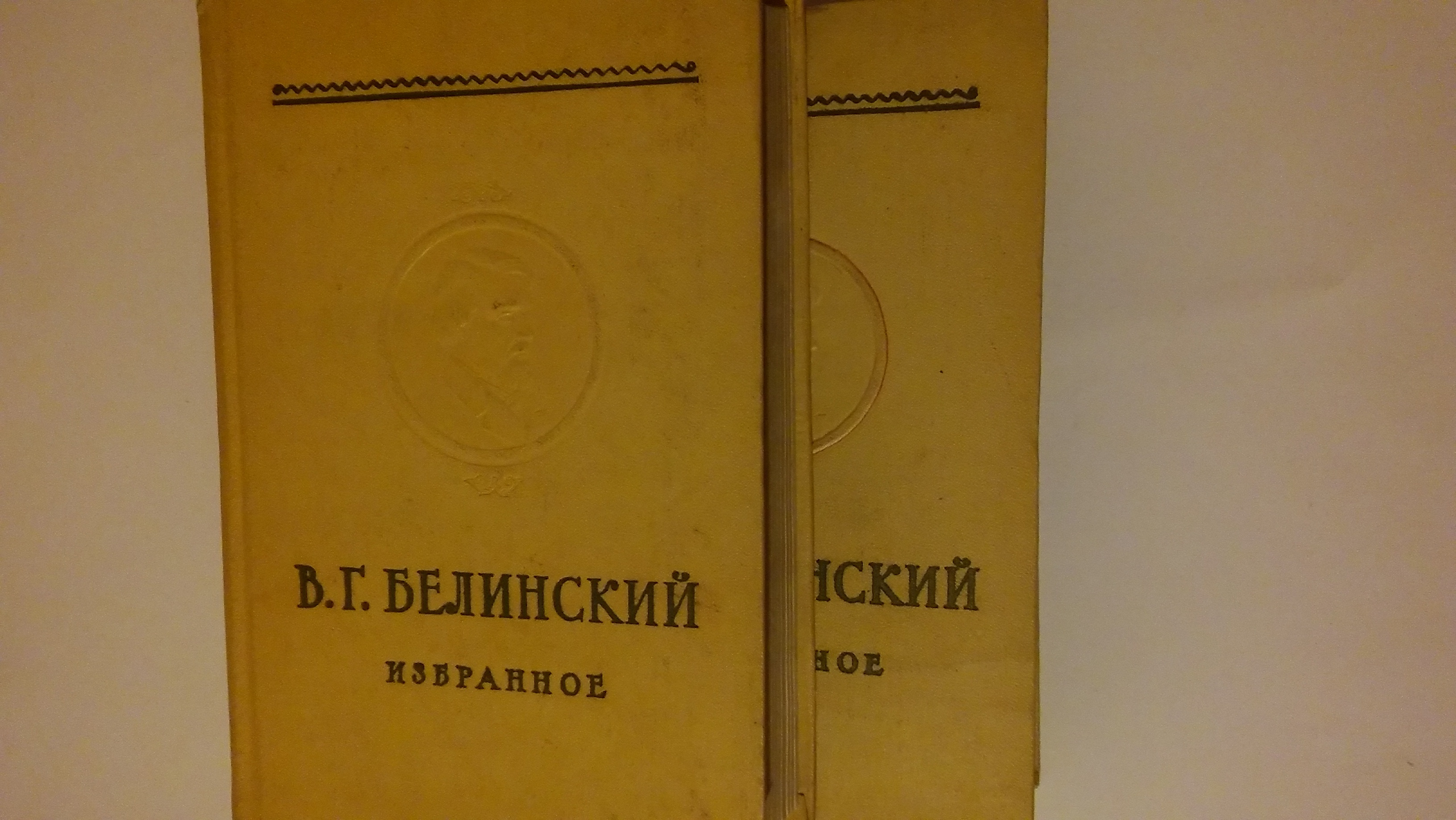 Критика белинского книга. Белинский книги. Книги Белинского по педагогике. Книги Белинского картинки.