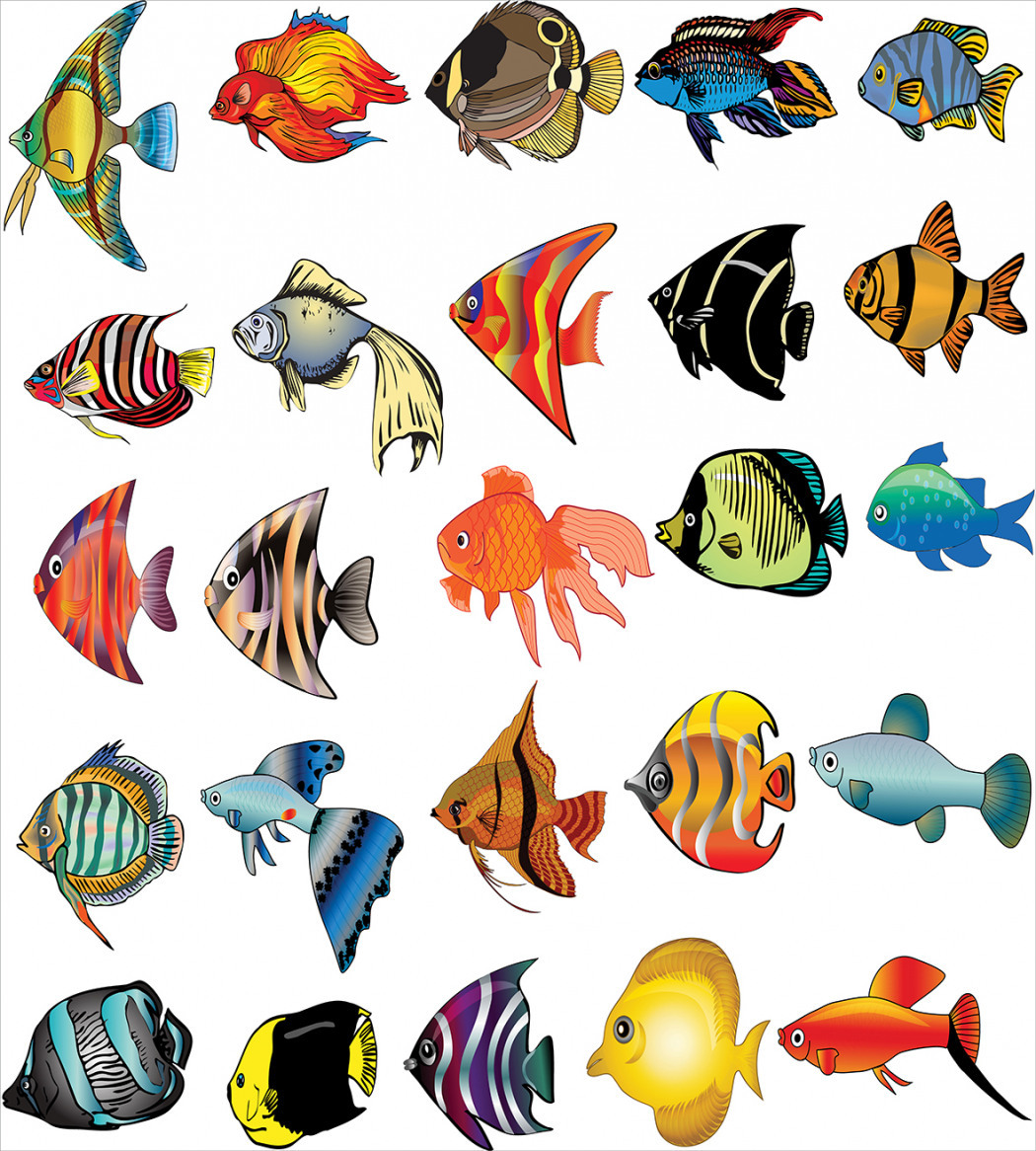 Аквариумные рыбки для дошкольников. Рыбки. Аквариумные рыбки печать. Тропические рыбы для рисования. Разноцветные рыбки для печати.