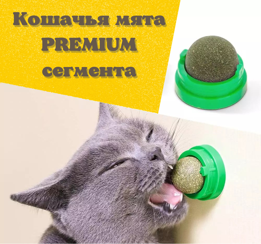 Кошачья мята шарик для кошек - купить с доставкой по выгодным ценам в  интернет-магазине OZON (386049658)