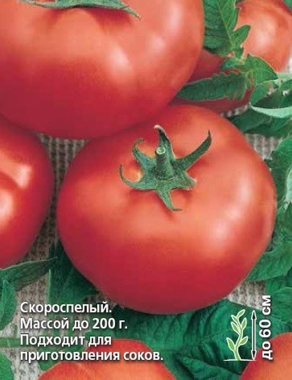 Фото томата сын героя Томаты Седек Тор47941 - купить по выгодным ценам в интернет-магазине OZON (60402