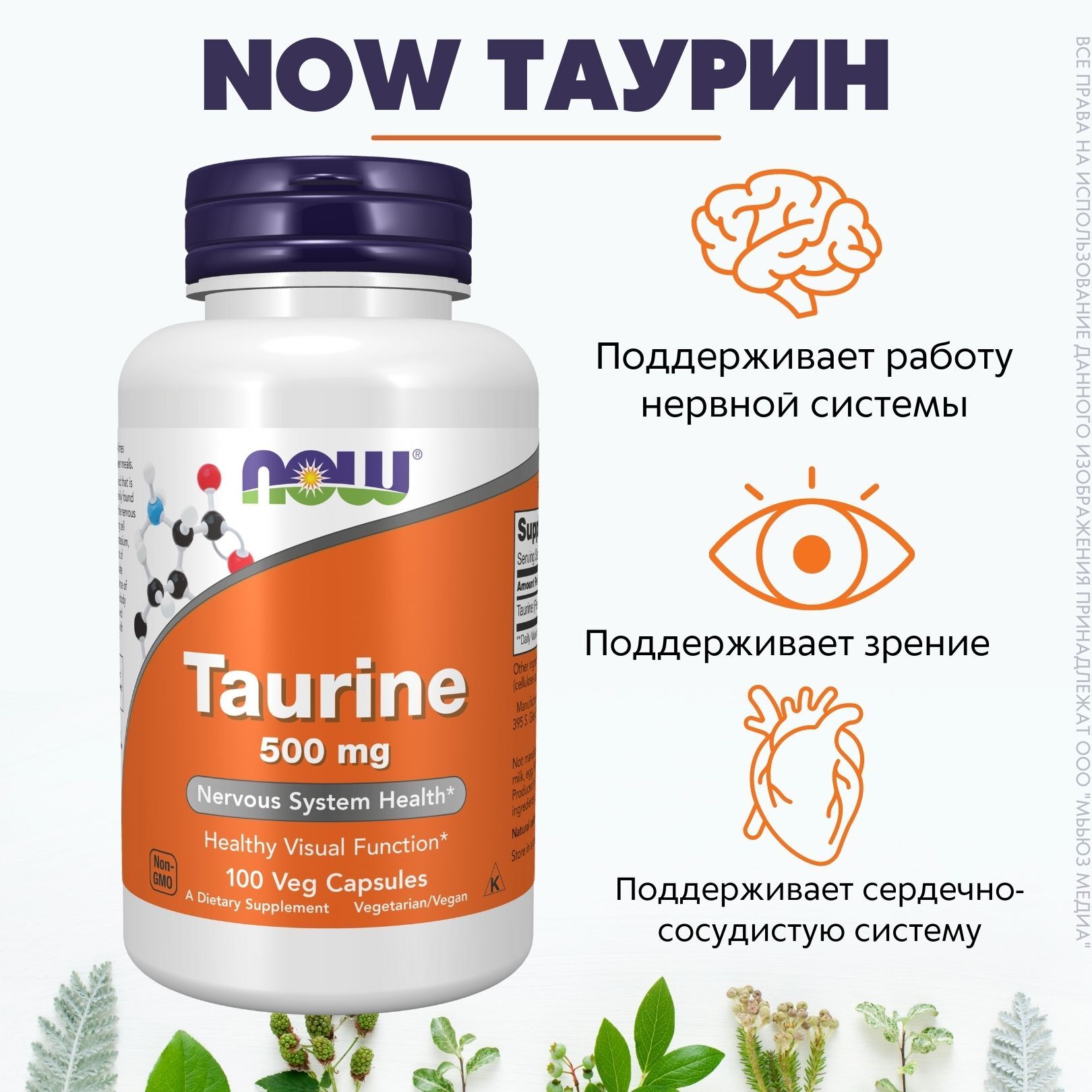 NOW Таурин 500 мг 100 капс (TAURINE 500mg 100 CAPS) - купить с доставкой по  выгодным ценам в интернет-магазине OZON (235190935)