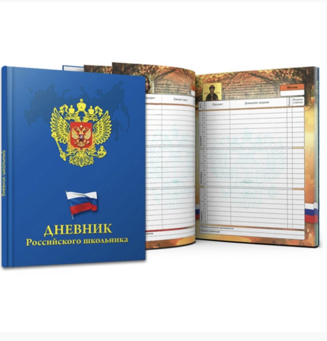 Синий дневник российского школьни