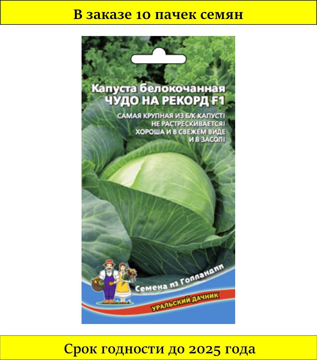 Капуста чудо ультрараннее отзывы. Капуста белокочанная чудо на рекорд f1. Капуста чудо на рекорд б/к f1 уд. Сорт капусты чудо на рекорд характеристика. Капуста чудо на хранение б/к f1 уд.