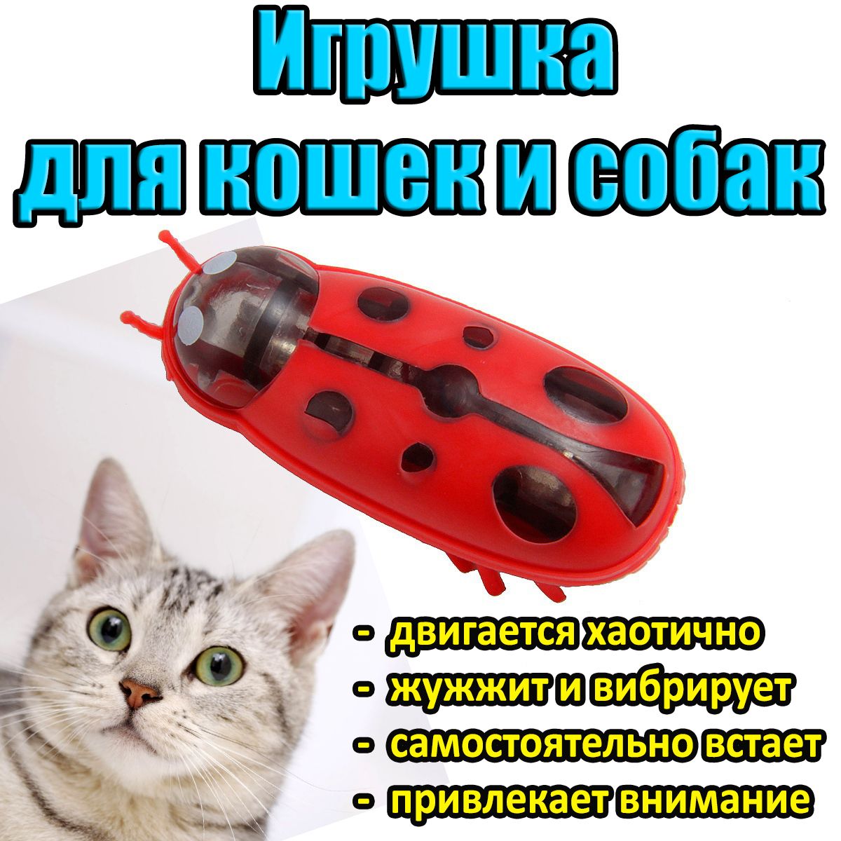 Нано-жук робот. Интерактивная игрушка дразнилка для кошек, котов, котят и  котенка. Развивающая игра для мелких пород собак. Электронная игрушка для  животных. Подарок на новый год и День рождения - купить с доставкой