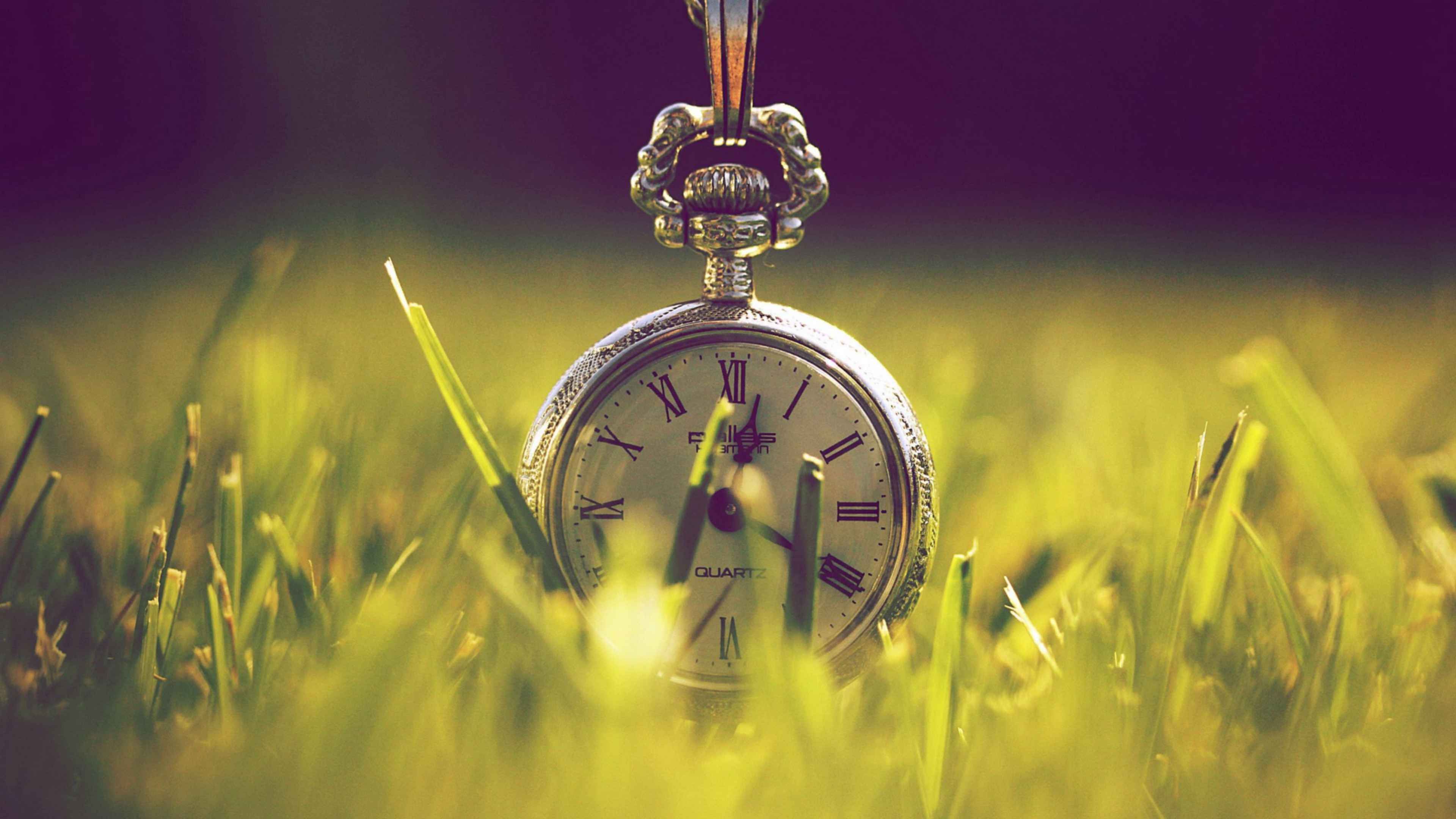 Заставки со смыслом. Фон мотивация. Часы на красивом фоне. Природные часы. Часы на траве.
