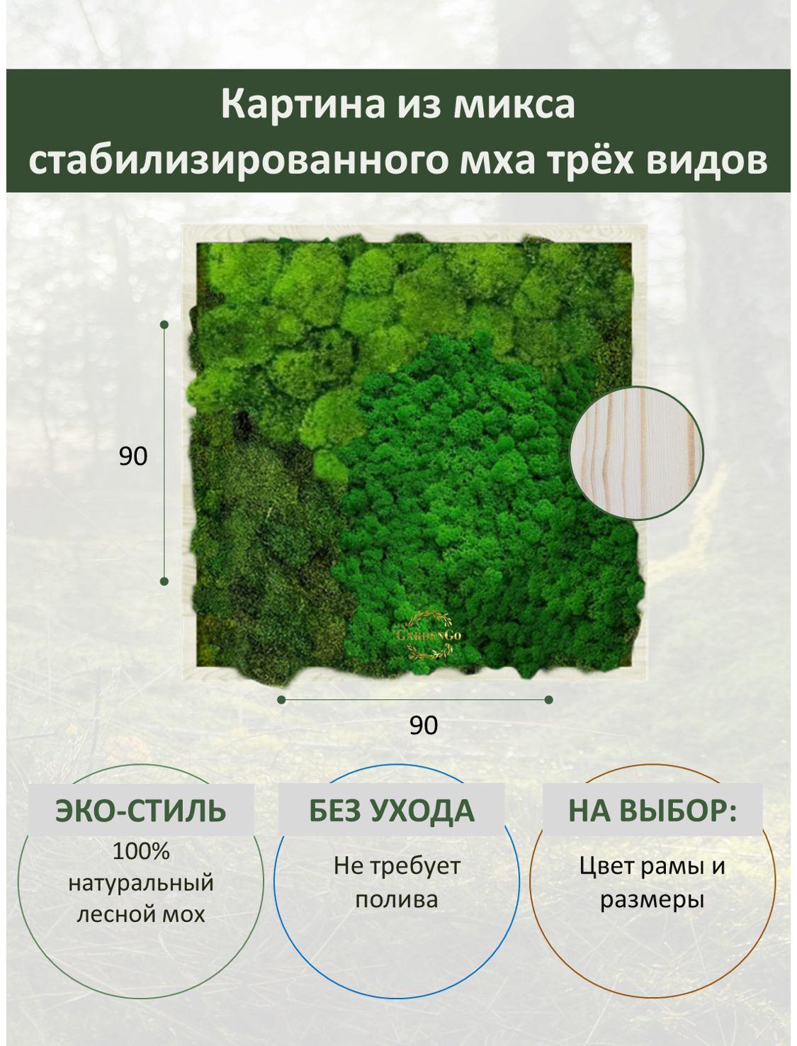 Карта мира мох стабилизированный